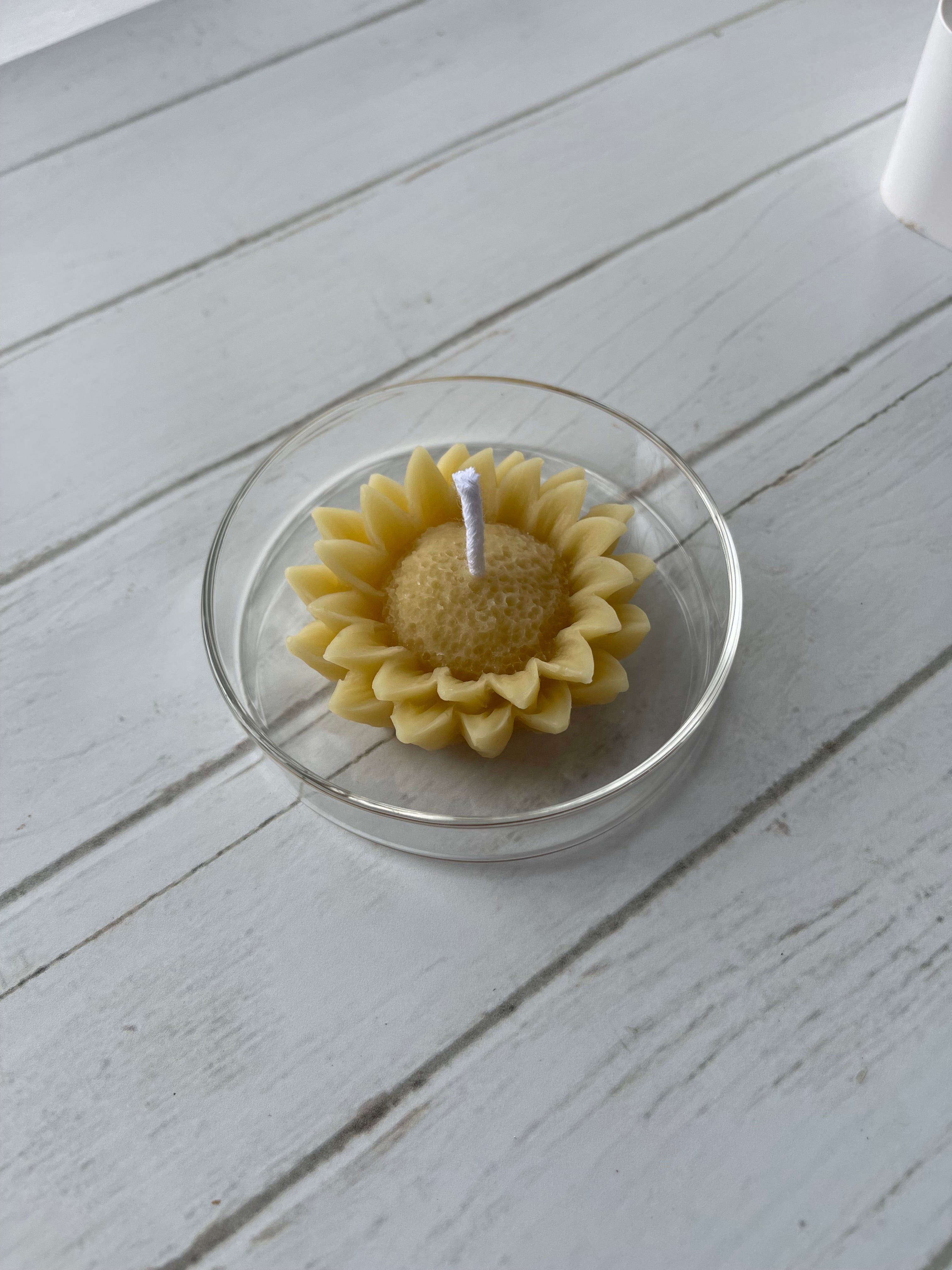 Beeswax Sunflower Candle
